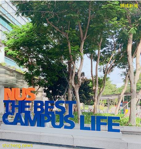 學生宿舍難申請？新加坡留學新生租房攻略，看起來