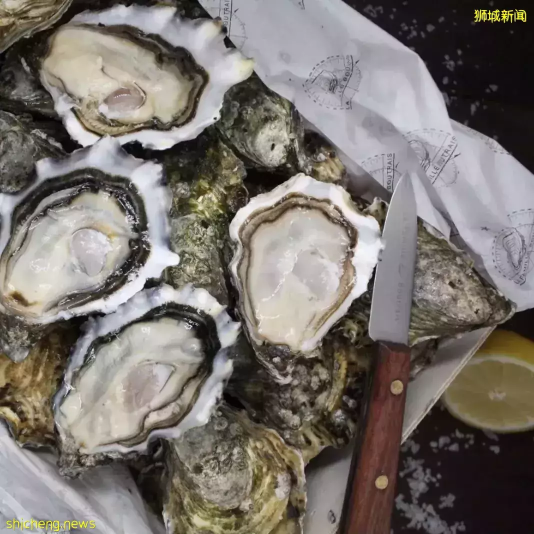 新加坡竟然有世界生蚝节?29种生蚝让你一次吃个够