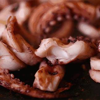 新加坡解封後,遛娃+逛街兩不誤!首家免費“水族館”來了