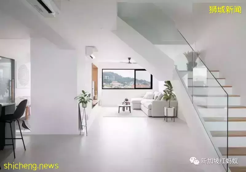 新加坡政府组屋原来有这么多豪华“变异户型”,有地住宅和LOFT复式都全了