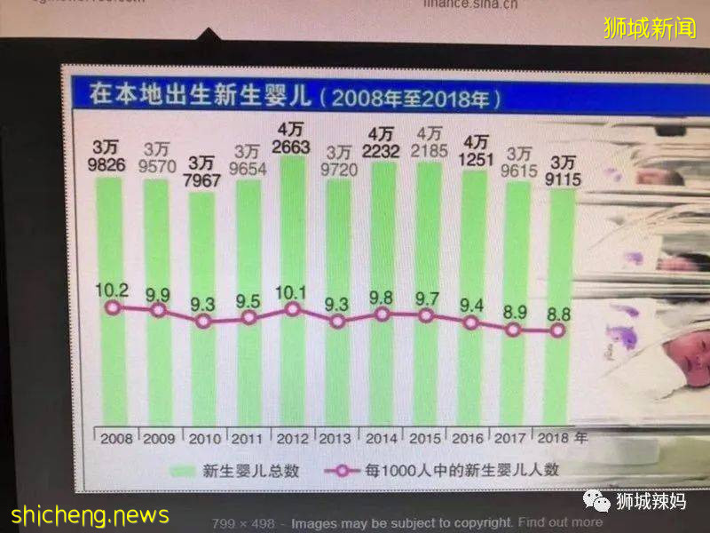 戰況激烈!新加坡小學報名2A1階段,竟已有5所小學超額!比去年還多