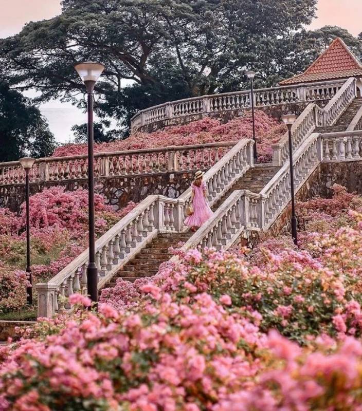 疫情過後，新加坡更讓全世界羨慕