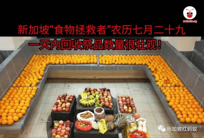 新加坡七月鬼節,“食物拯救者“一天內回收祭品數量很壯觀
