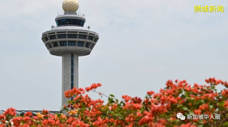 新增257例！社區病例開始下跌，新加坡研發檢測盒一小時出結果一