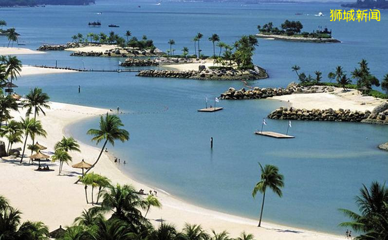 新加坡居住指南2020(一)