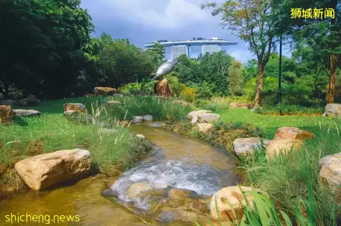 爲了遊客新加坡拼了！要建滑雪中心、雨林酒店，還要給金沙再蓋一幢樓