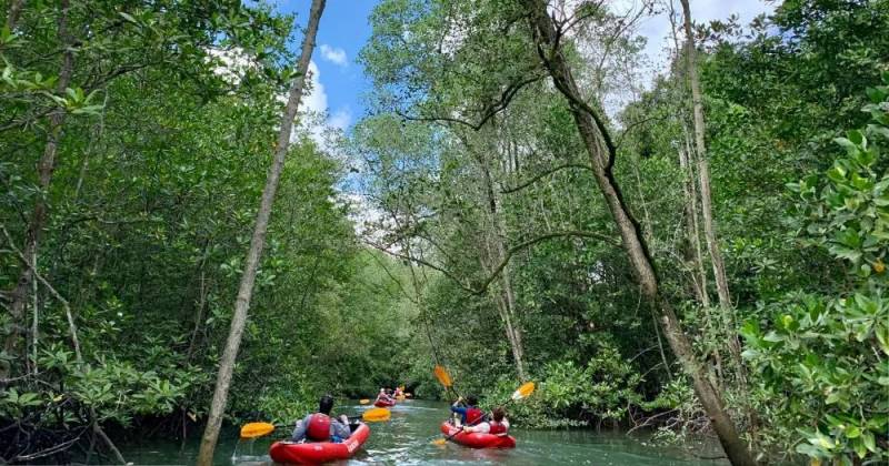 11月起，20人的旅遊團開放！下周去電影院必須戴這個