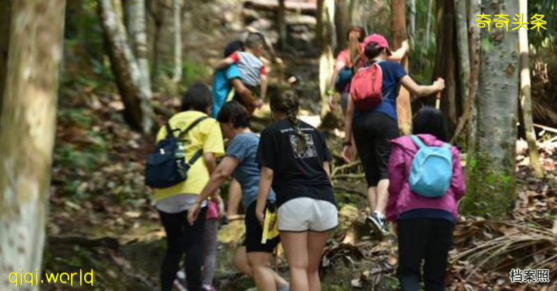 ◤复管令SOP◢ 一组不超过20人 15日起登山徒步 禁过夜