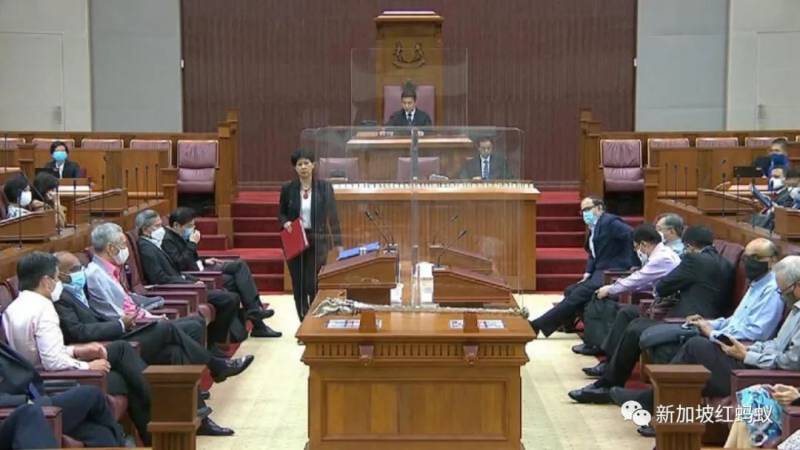 國會外的“忍者神龜”，新加坡執政黨看不見的辯論對手