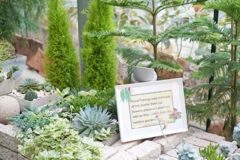 新加坡 不能错过的高颜值打卡地攻略(上)