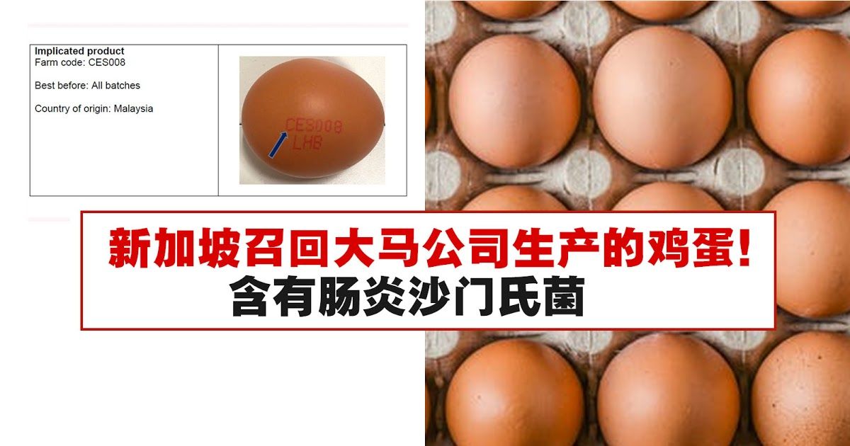 新加坡召回大马公司生产的鸡蛋