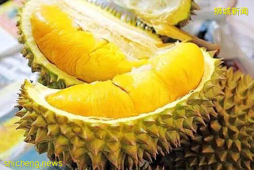 今年最后一波榴梿季!邻国大丰收,下个月猫山王或降至12元/KG