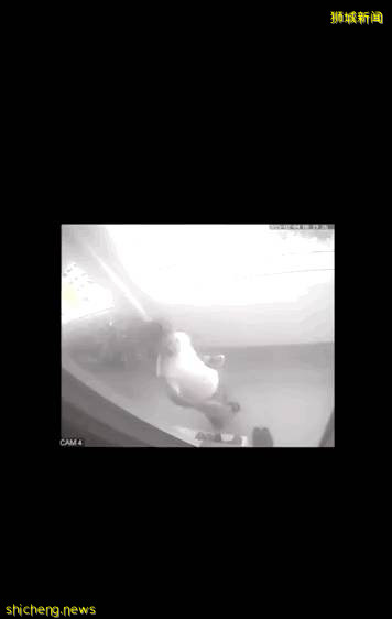 连续11年进行骚扰,新加坡“魔鬼”邻居被镜头记录了下来