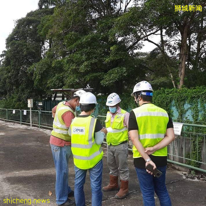 打造以新加坡人爲核心的工作團隊