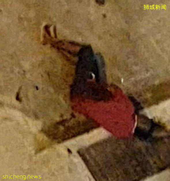 闖靈堂 奪剪刀 赤膊男 刺傷 紅衣男