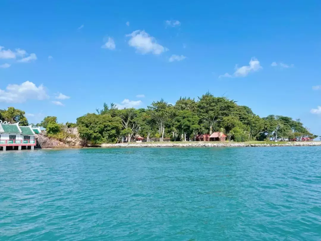 刺激！新加坡最酷的海上运动，1小时乘海军飞艇游5个岛，感觉爽飞了