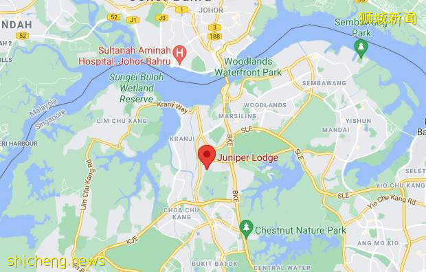 張文宏：新冠致死率已接近流感！新加坡疫情也馬上常態化！回國免隔離還有希望嗎