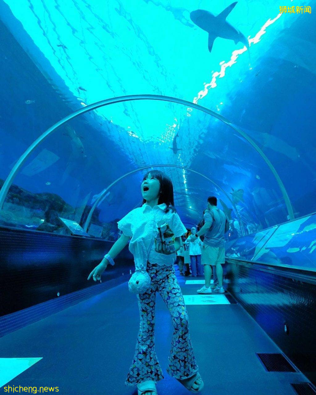 攻略收好、出發開啓親近動物之旅🦩從白天玩到晚上、10大景點近距離接觸小動物