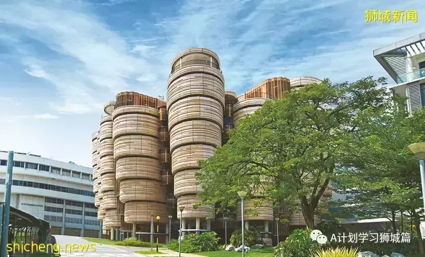 新加坡剑桥A水准会考成绩2月22日放榜