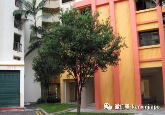 盛港青年聚会凌晨大声喧闹，突遭旁人提刀怒砍，血流组屋