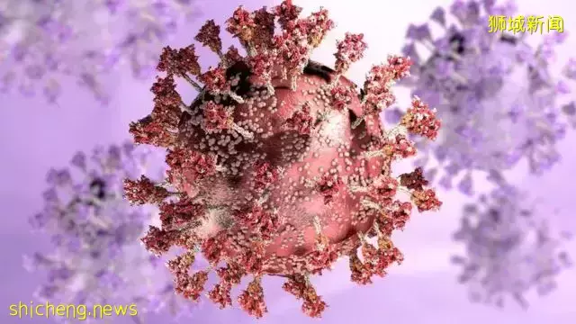 新加坡专家:无需再等,可进一步开放!世卫确认奥密克戎症状轻微