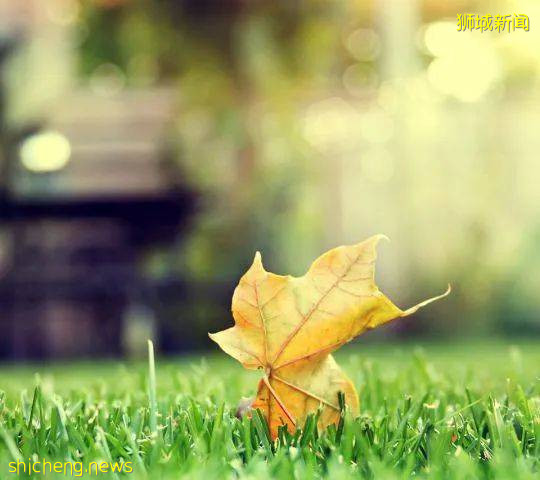 再見!回國潮到來,離開新加坡的他們有話說~附10月中新機票