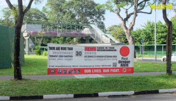 家人群爆了！“新加坡登革熱疫情史上最嚴重” 登上微博熱搜