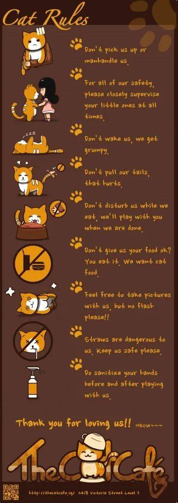 假期撸貓撸狗好去處!新加坡超治愈寵物咖啡店盤點