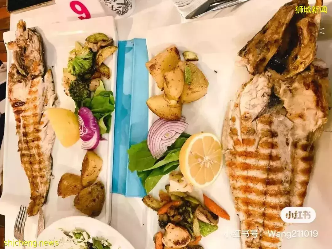 新加坡飛土耳其9天遊全記錄!熱氣球、洞穴酒店、古城、棉花堡,太好玩了