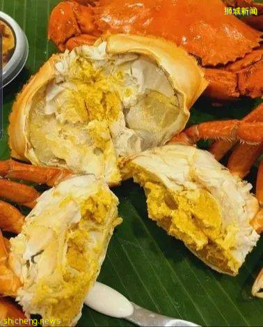 来新加坡吃过辣椒螃蟹不稀奇,吃过潮州冷蟹才算来过新加坡