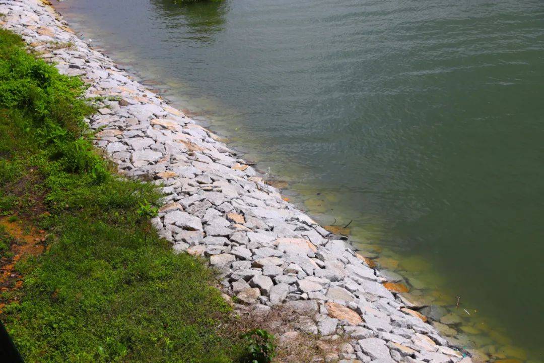 3天小長假！請來新加坡最美的濕地，超500種熱帶動植物免費看