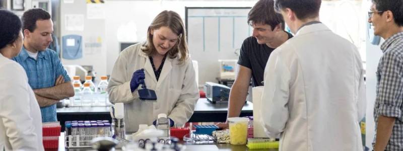 小坡岛科研 新加坡率先批准培植鸡肉售卖!这所高校功不可没