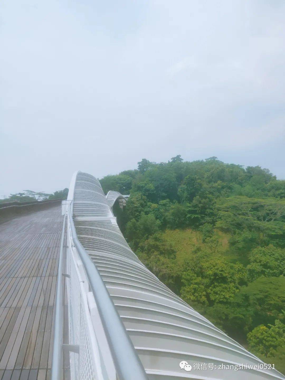 新加坡遊記系列 行走在南部山脊