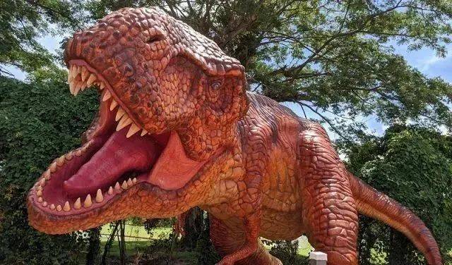 養娃聖地——新加坡周末遛娃好去處之上篇