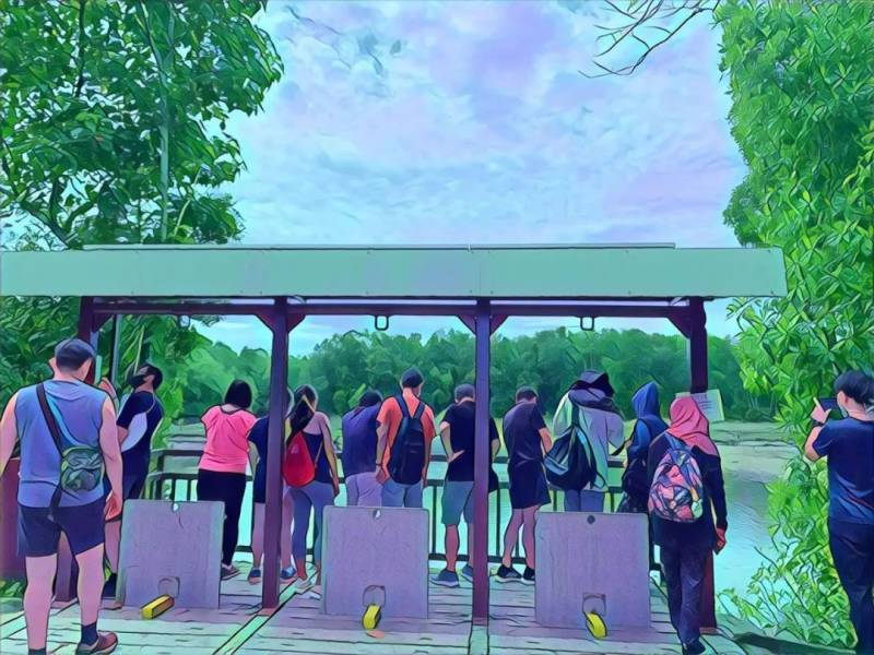 新加坡雙溪部落濕地（Sungei Buloh Wetland Reserve)