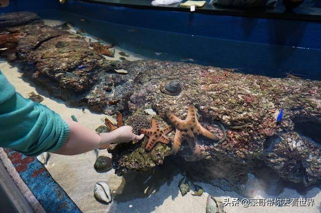 新加坡不枉此行的10大看點（中）分三集介紹