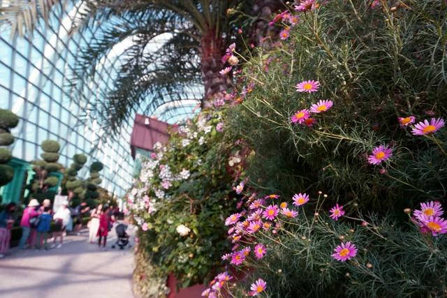 新加坡旅行|6天5晚奇遇狮城的日与夜