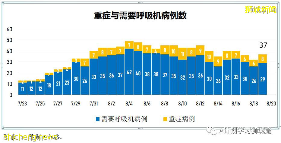 8月20日，新加坡疫情：新增40起，其中本土36起，輸入4起；77%的國人已經完成疫苗接種
