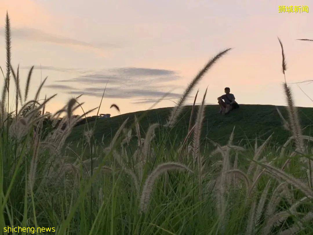 美到不行的裕廊湖畔花园,你不来打卡一下吗