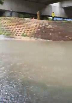 冷飕飕~新加坡狂降雨,最低温度降至21°C