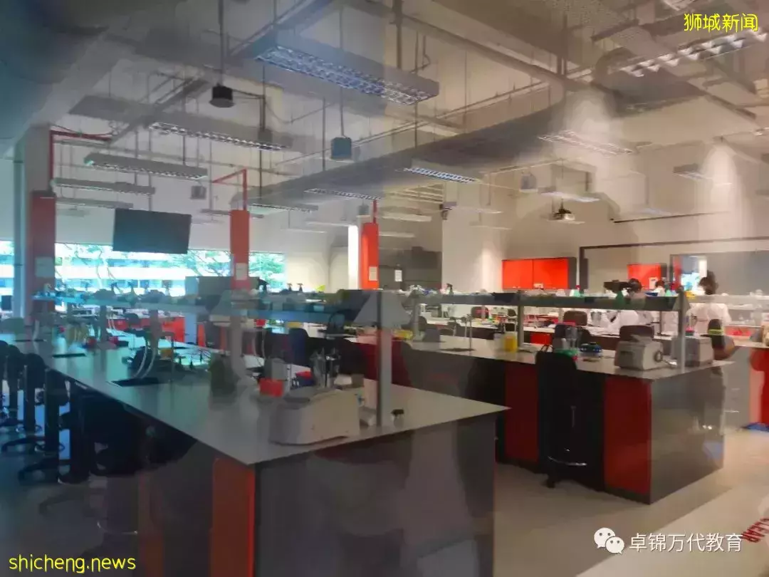 新加坡留学 在新冠检测实验室工作是一种怎样的体验