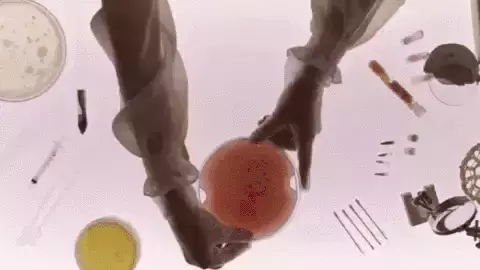 性感模特的皮衣是蘑菇做的?新加坡用树叶做面料?太颠覆啦