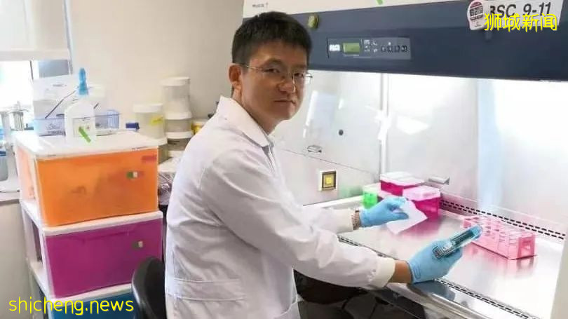 最新一弹新加坡病毒学家陈广博士谈疫情来啦