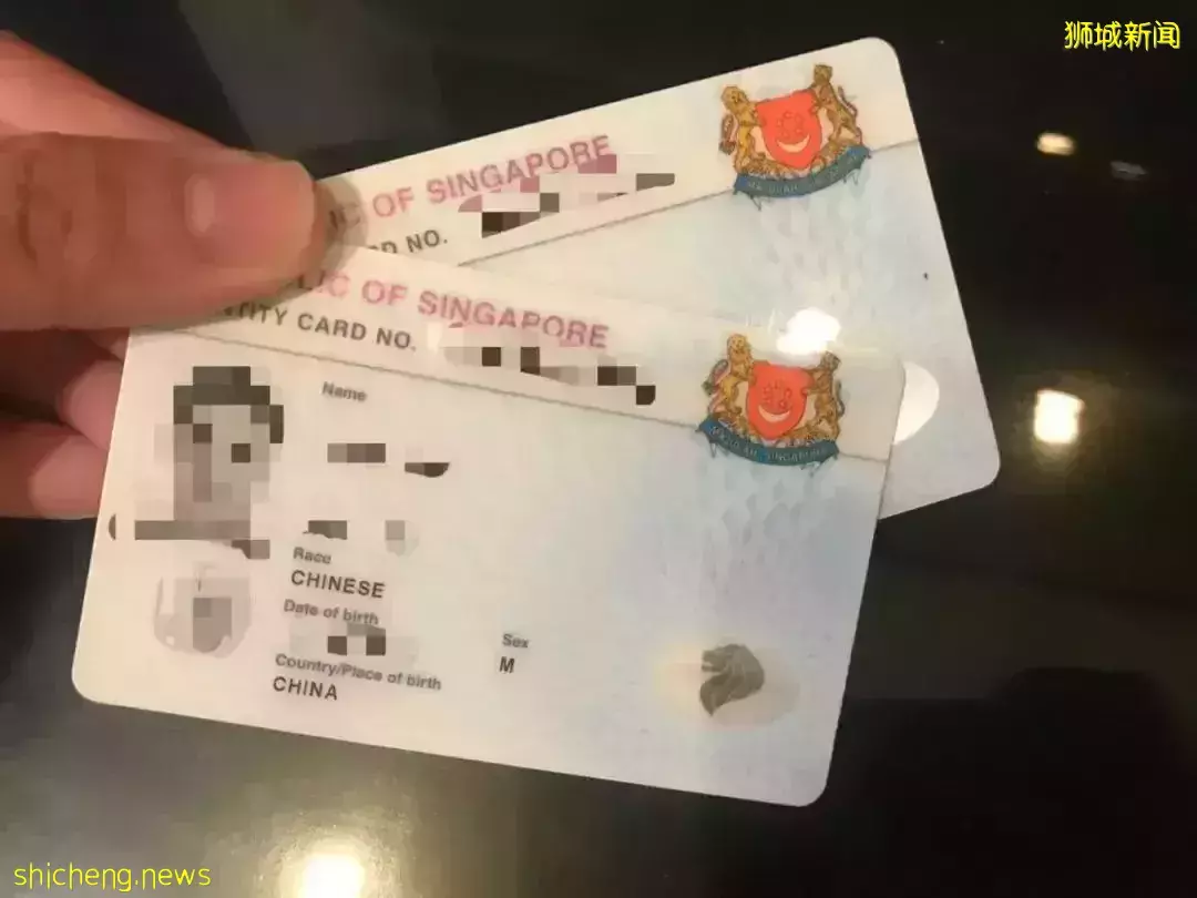 我們翻遍了新加坡ICA的數據，發現了今年PR申請的秘密