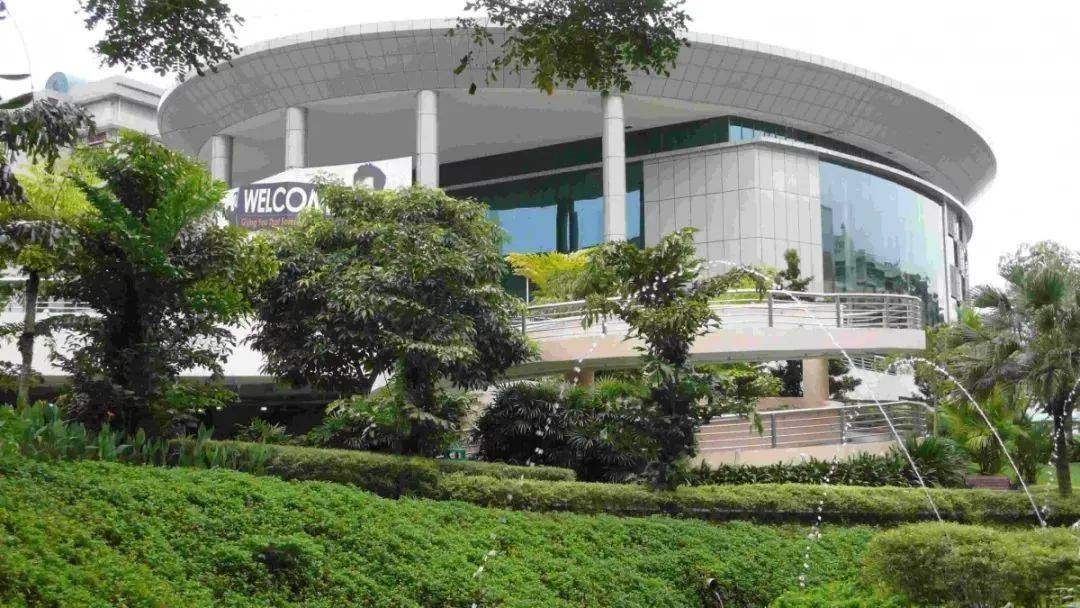 通过提前招生活动,报读新加坡五所理工学院的工作人士增70%