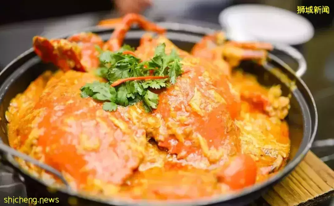 游狮城前,先看这一篇