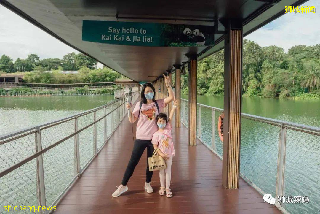 僅2天！新加坡動物園最牛的餵動物之旅，8折！還有幻光雨林和4大園5.5折起，搶啦
