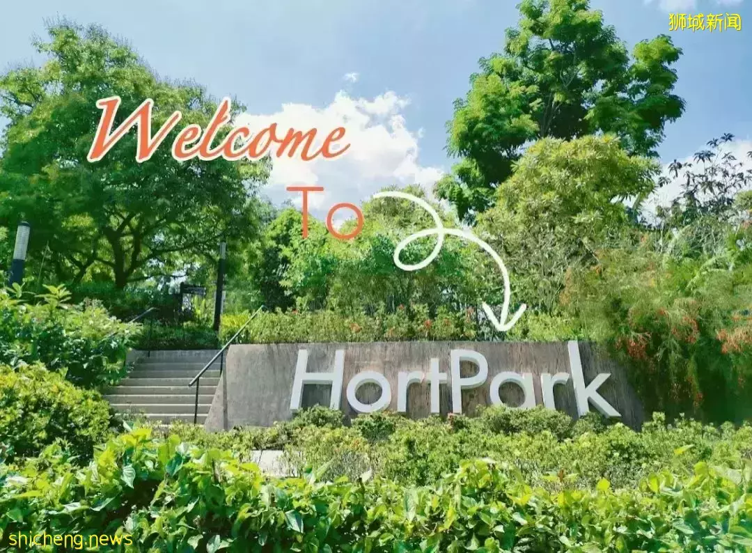 【一日姐妹遊】來新加坡殖民風情“小歐洲”！一起徒步、吃網紅美食，做戶外瑜伽