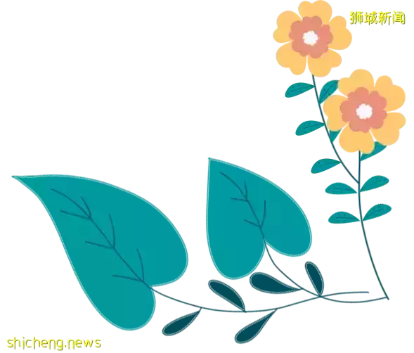 有娃必看!新加坡寶爸寶媽心中的NO.1:選這個地方太對了