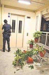 新加坡大叔襲胸，暴揍中年女子，僅被罰款3千元！原因竟然是